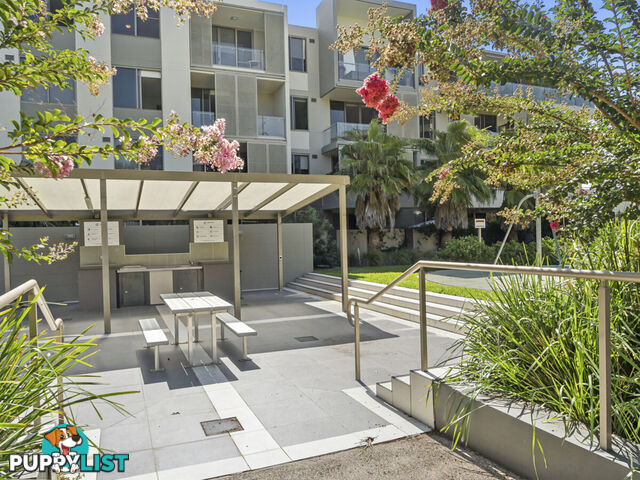 233/6 Firetail Drive WARRIEWOOD NSW 2102