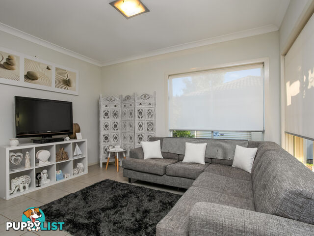 213 Macpherson Street WARRIEWOOD NSW 2102