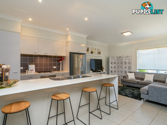 213 Macpherson Street WARRIEWOOD NSW 2102