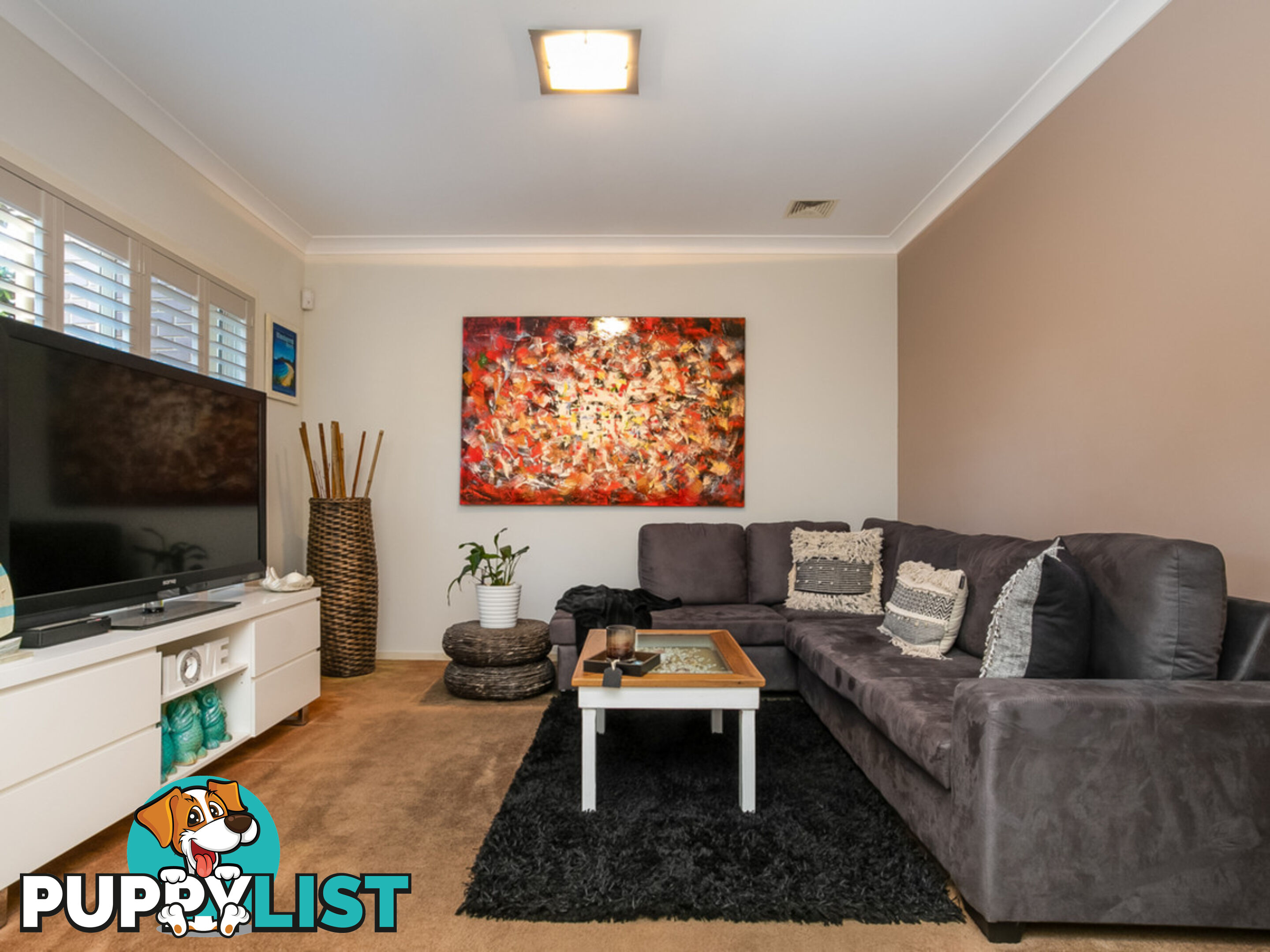 213 Macpherson Street WARRIEWOOD NSW 2102