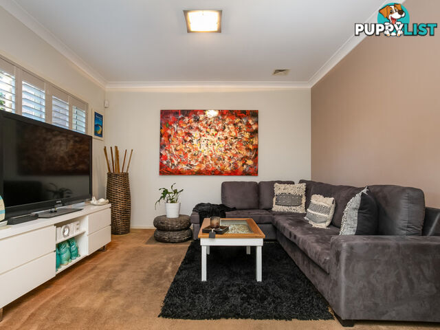 213 Macpherson Street WARRIEWOOD NSW 2102