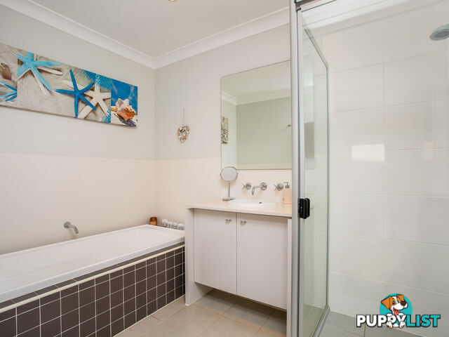 213 Macpherson Street WARRIEWOOD NSW 2102