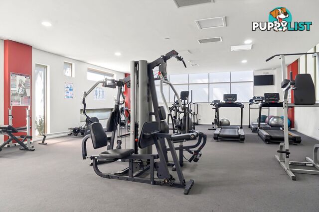 17/79-91 Macpherson Street WARRIEWOOD NSW 2102