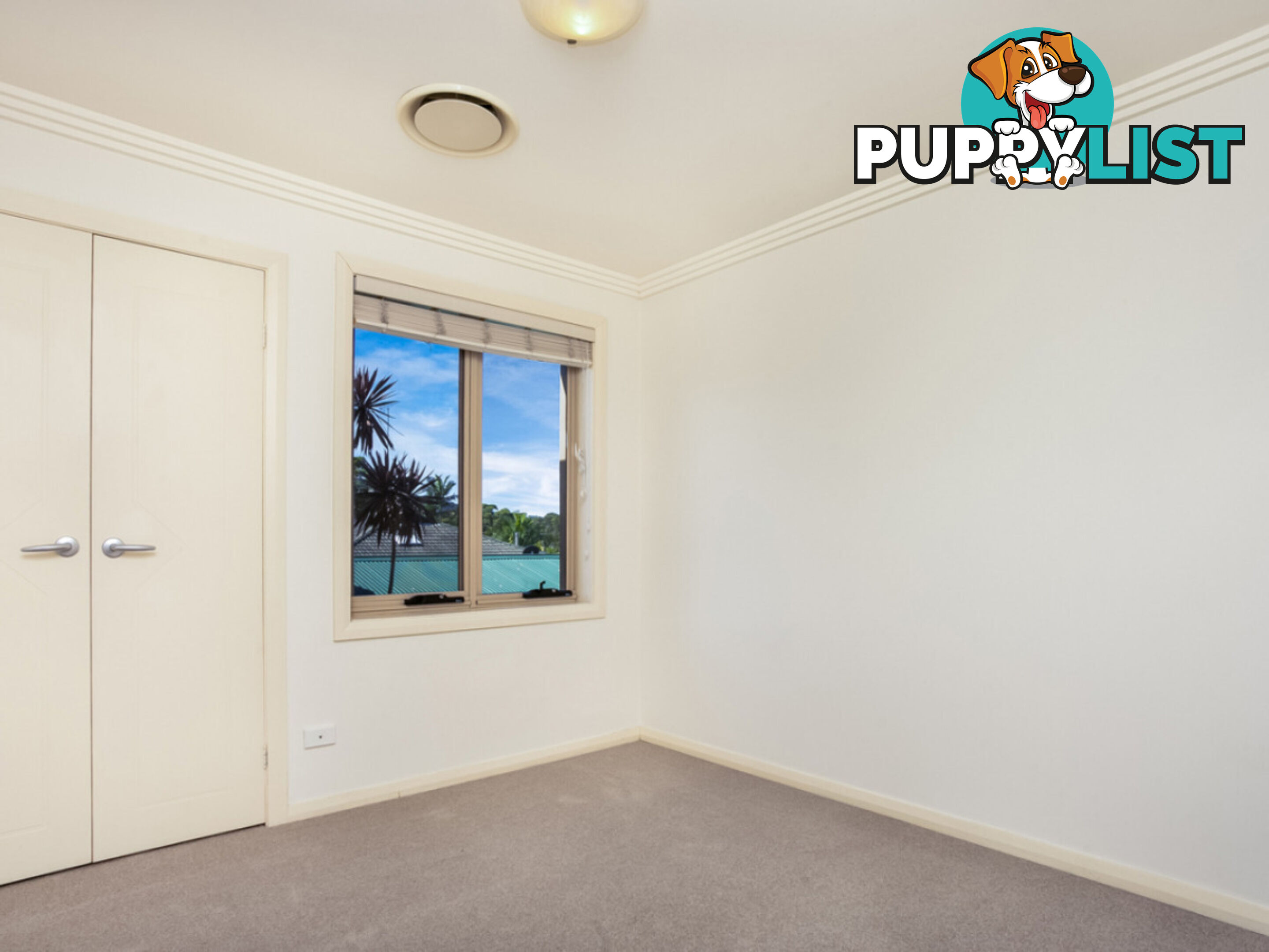 5/1644-1648 Pittwater Road MONA VALE NSW 2103