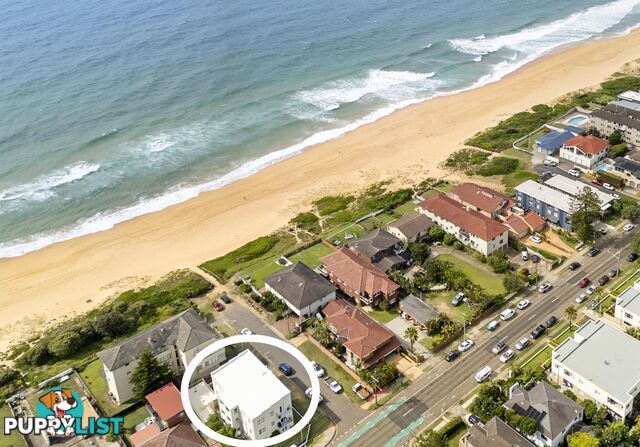 6/129 Ocean Street NARRABEEN NSW 2101