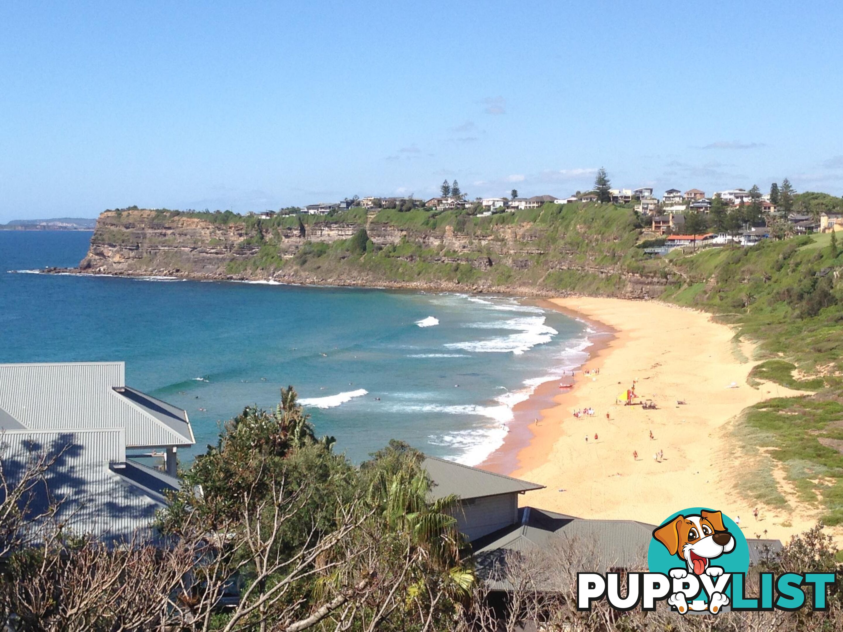33 Bungan Head Road NEWPORT NSW 2106