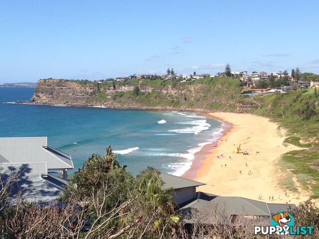 33 Bungan Head Road NEWPORT NSW 2106