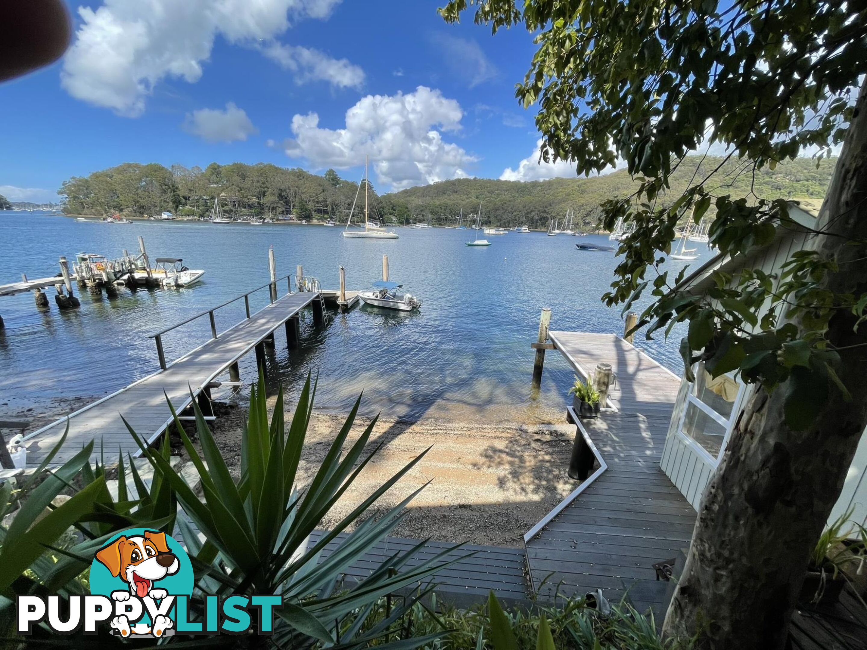 15 Lovett Bay LOVETT BAY NSW 2105