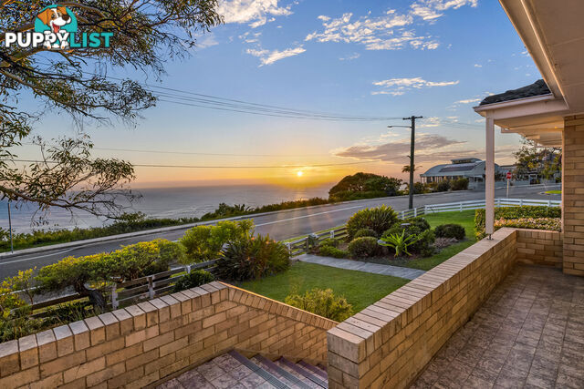 52 Edgecliffe Boulevard COLLAROY PLATEAU NSW 2097