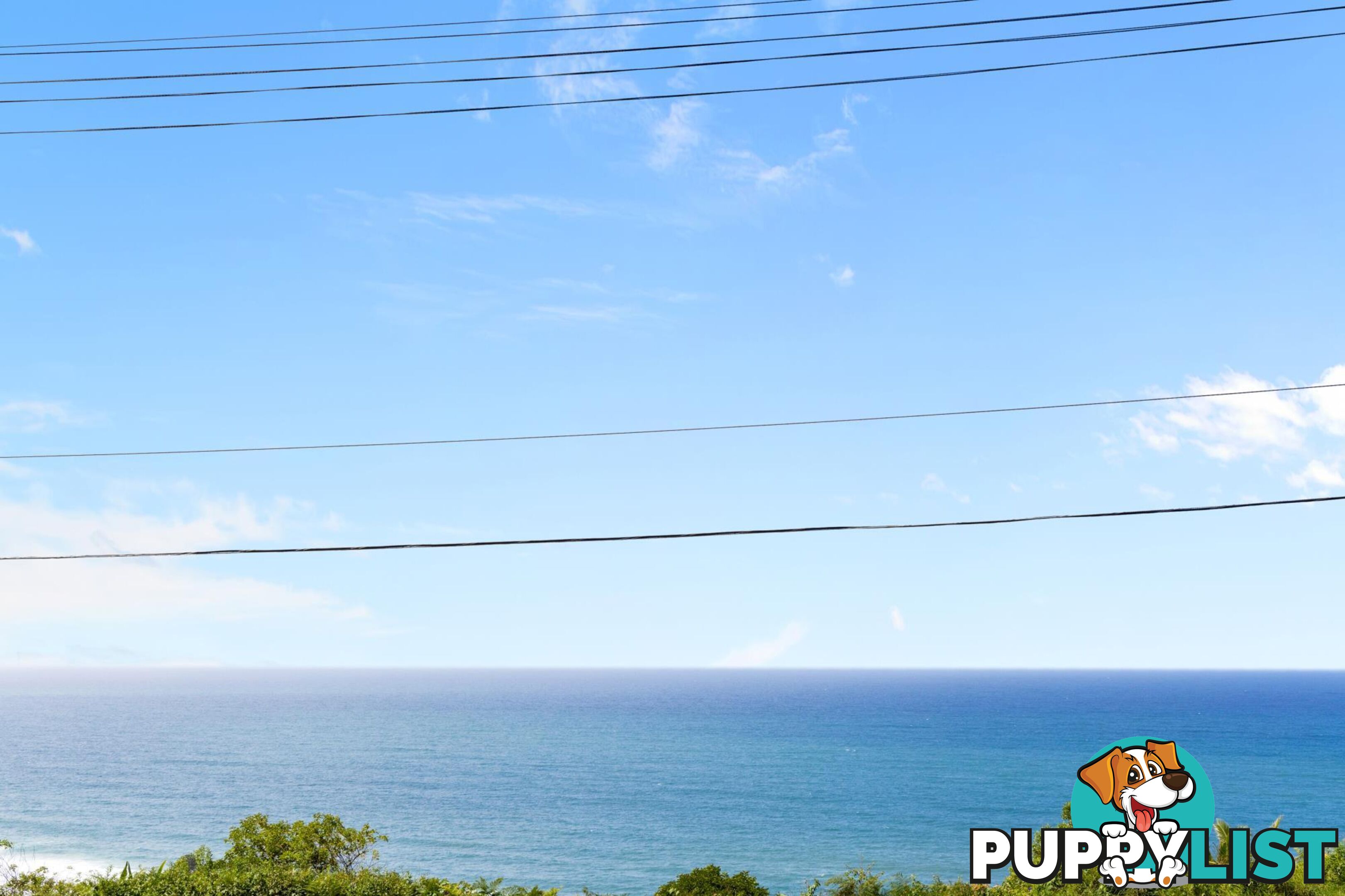 52 Edgecliffe Boulevard COLLAROY PLATEAU NSW 2097