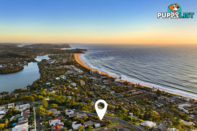 52 Edgecliffe Boulevard COLLAROY PLATEAU NSW 2097