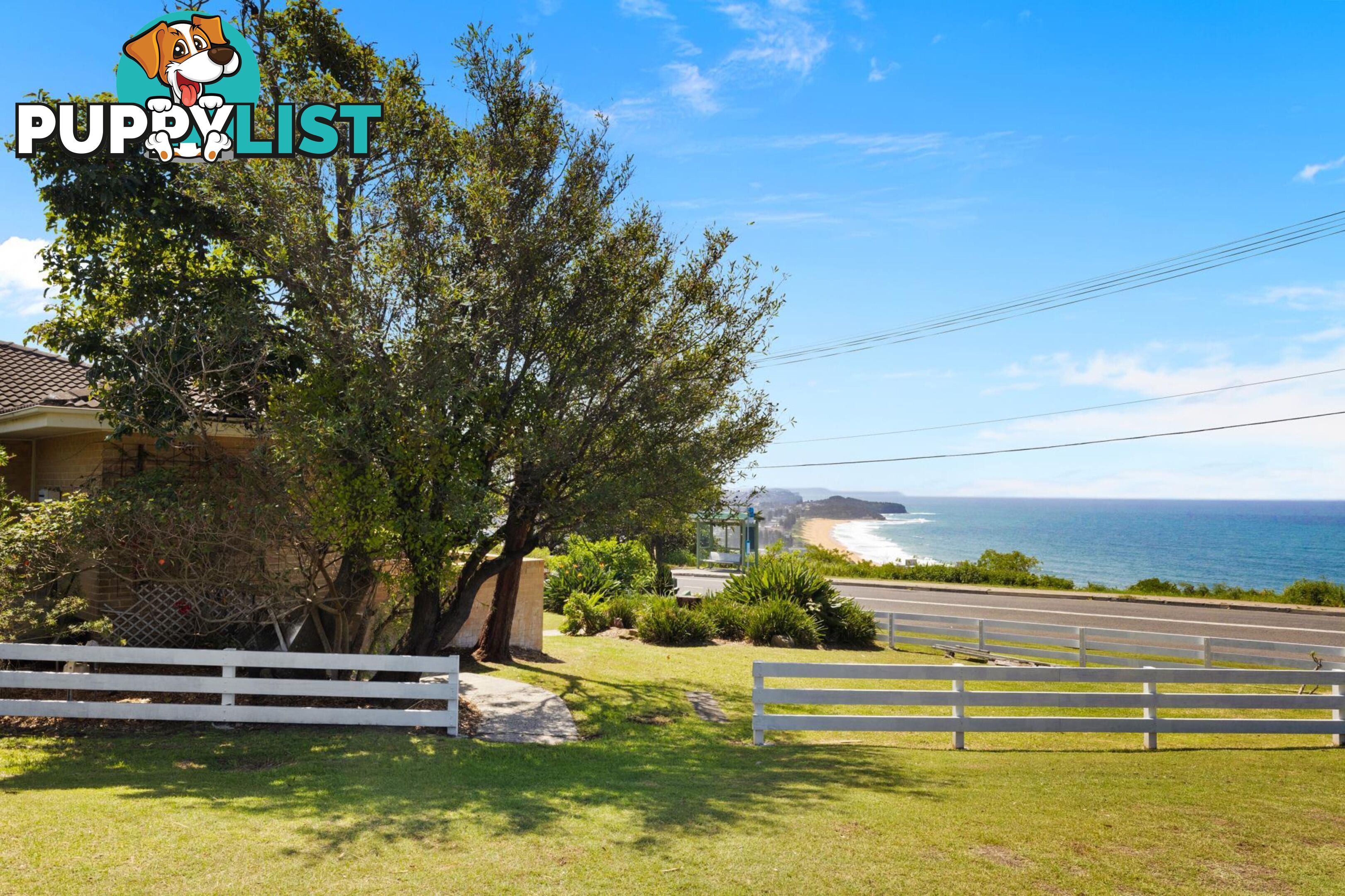 52 Edgecliffe Boulevard COLLAROY PLATEAU NSW 2097