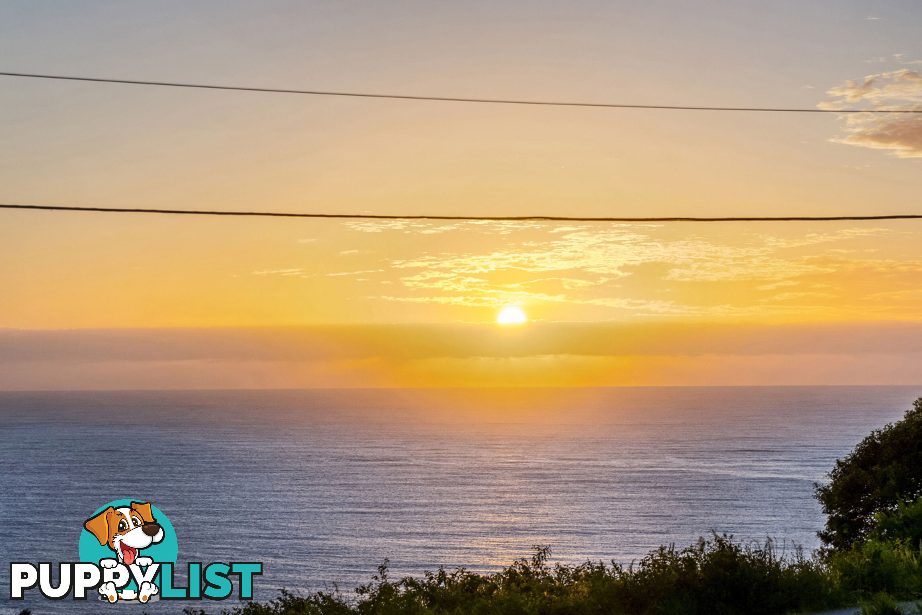 52 Edgecliffe Boulevard COLLAROY PLATEAU NSW 2097