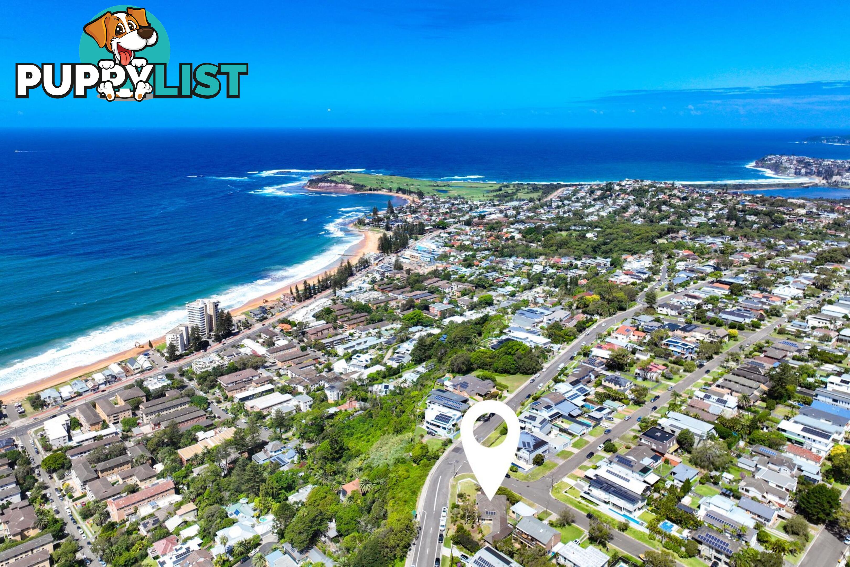 52 Edgecliffe Boulevard COLLAROY PLATEAU NSW 2097