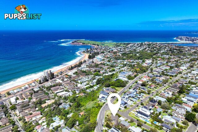 52 Edgecliffe Boulevard COLLAROY PLATEAU NSW 2097