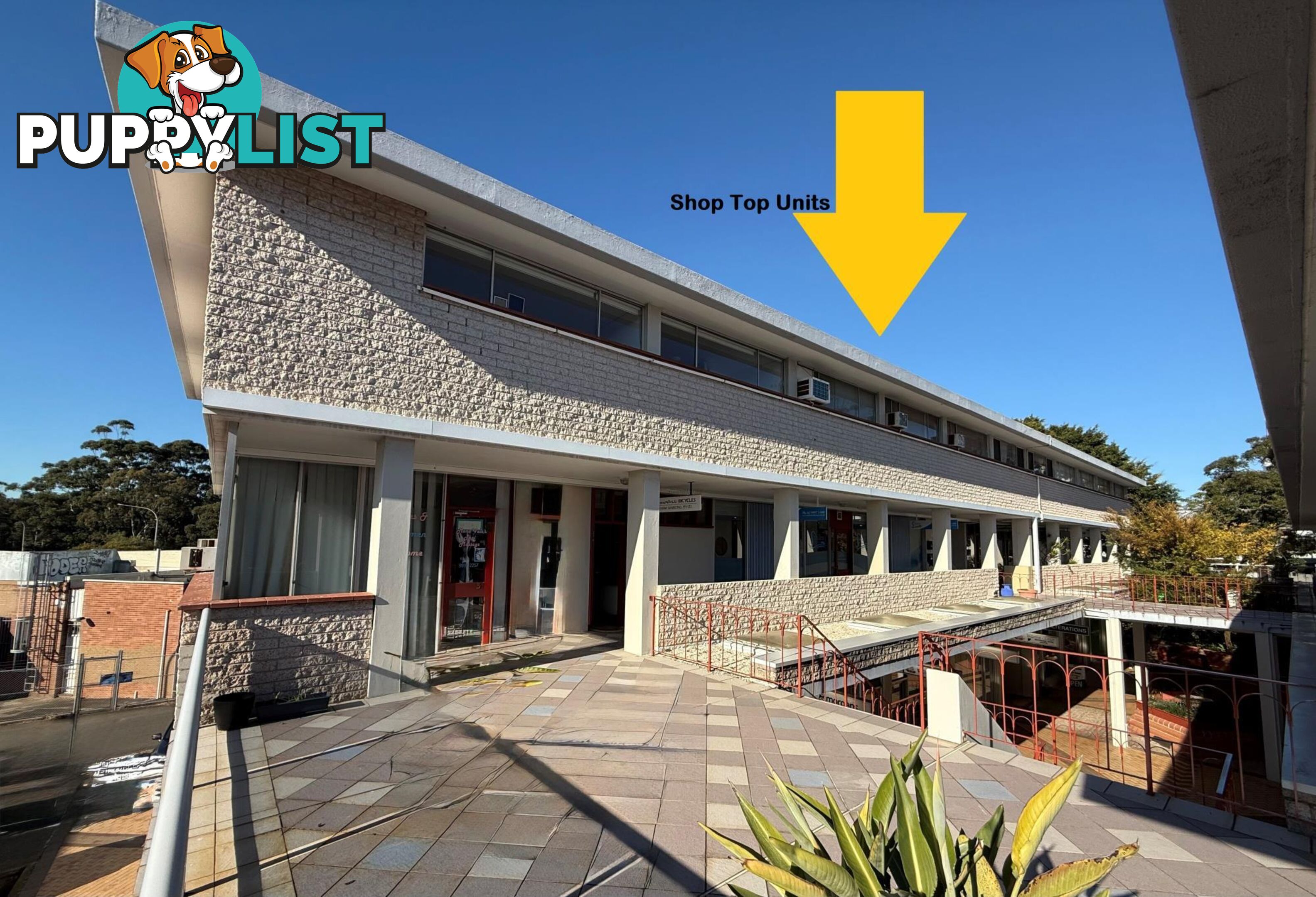 24/12-14 Waratah Street MONA VALE NSW 2103