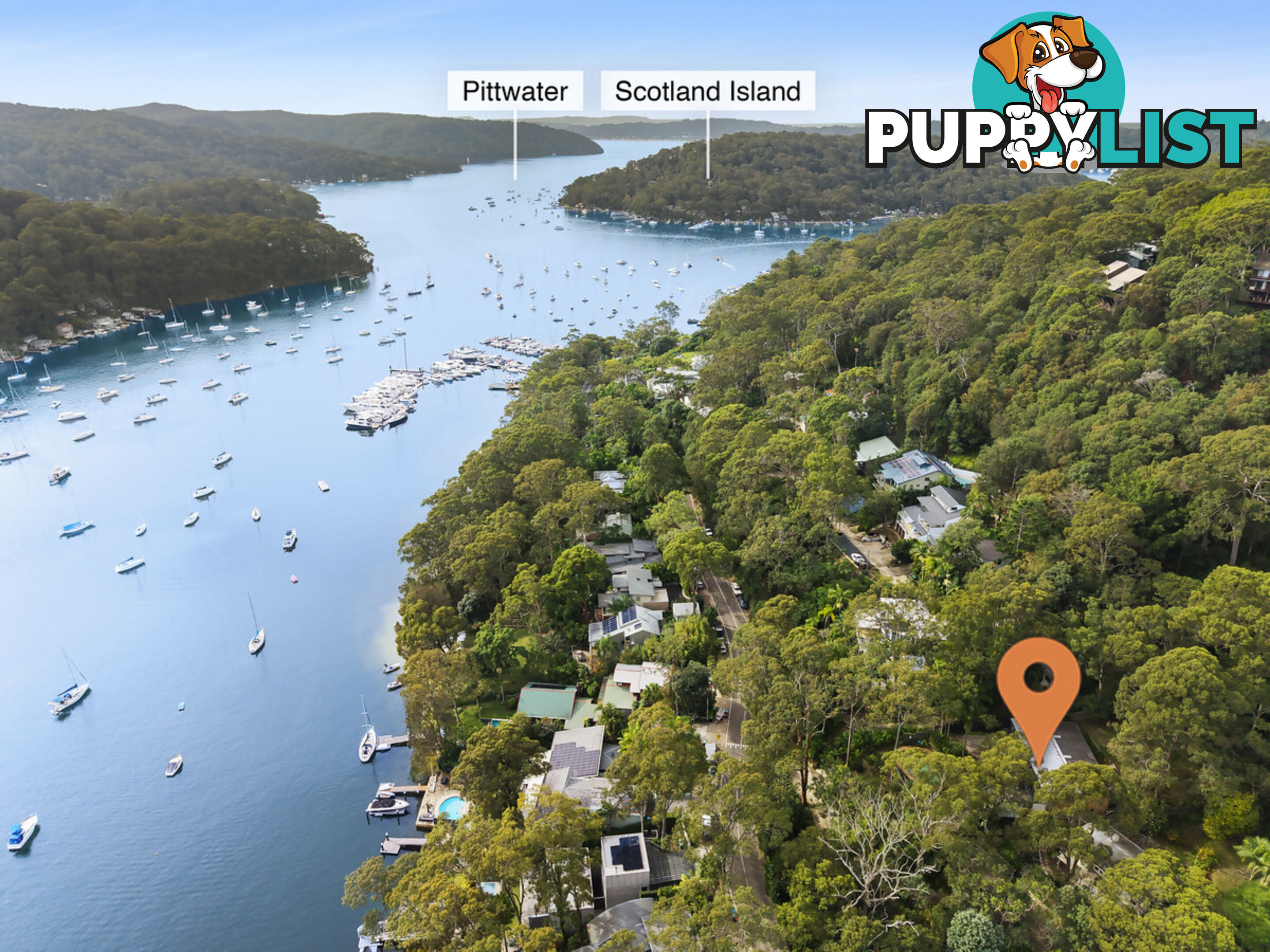 77 McCarrs Creek Road CHURCH POINT NSW 2105