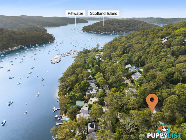 77 McCarrs Creek Road CHURCH POINT NSW 2105