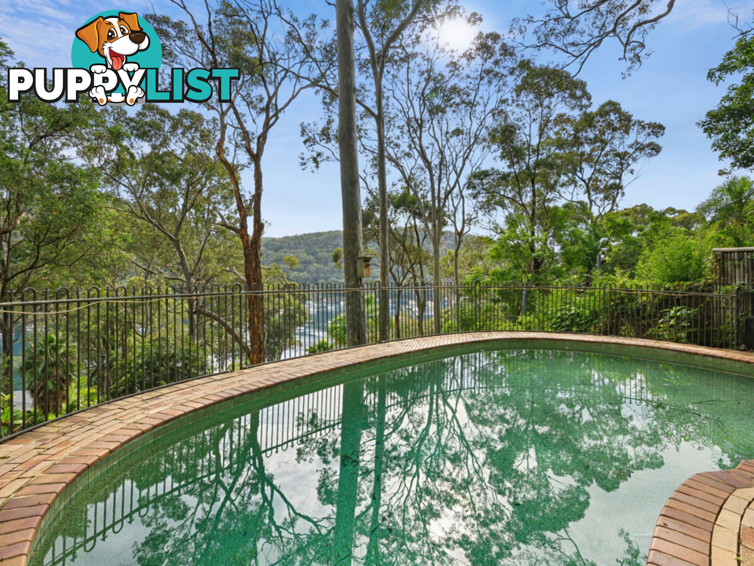 77 McCarrs Creek Road CHURCH POINT NSW 2105