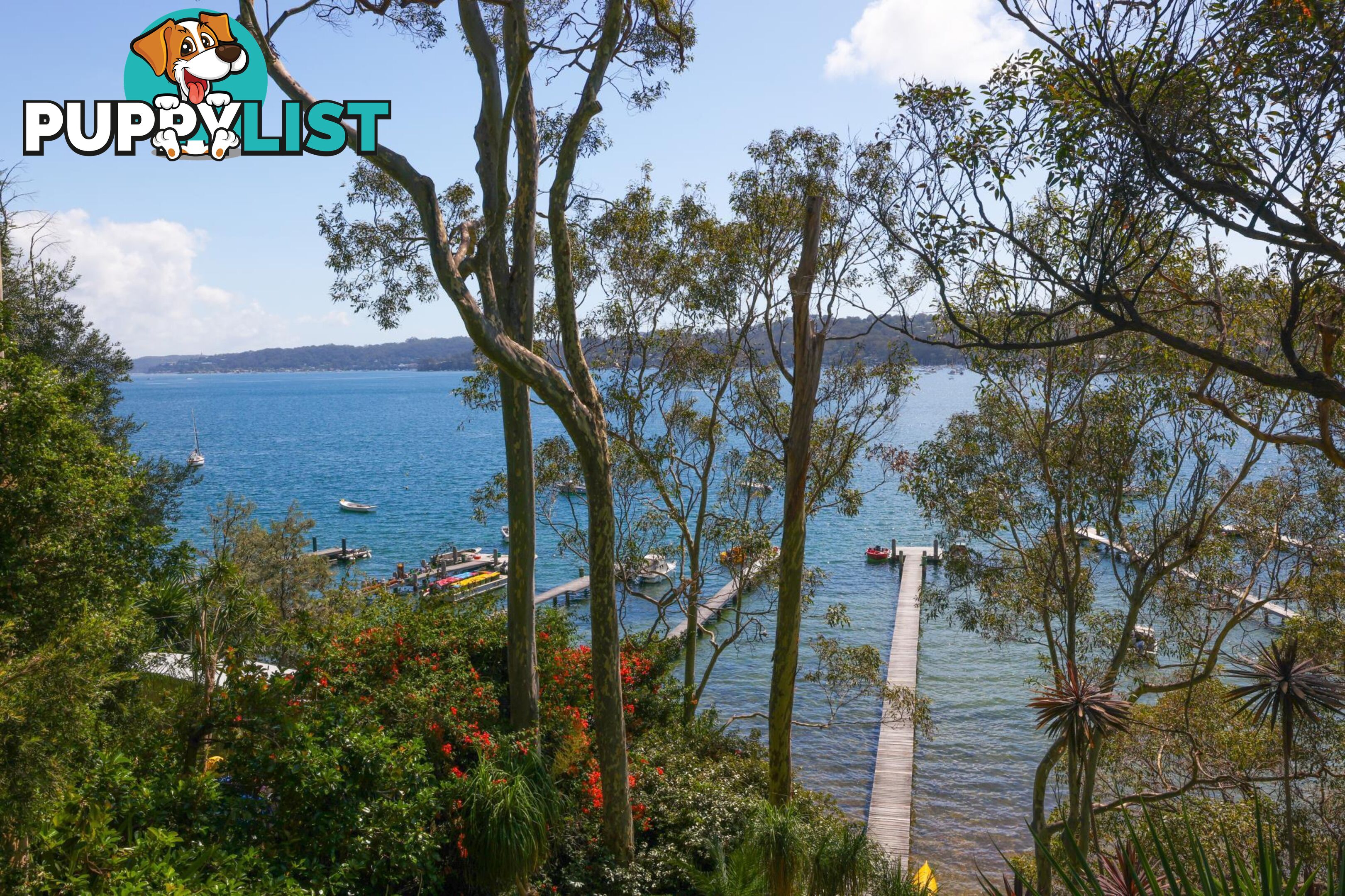 55 Florence Terrace SCOTLAND ISLAND NSW 2105