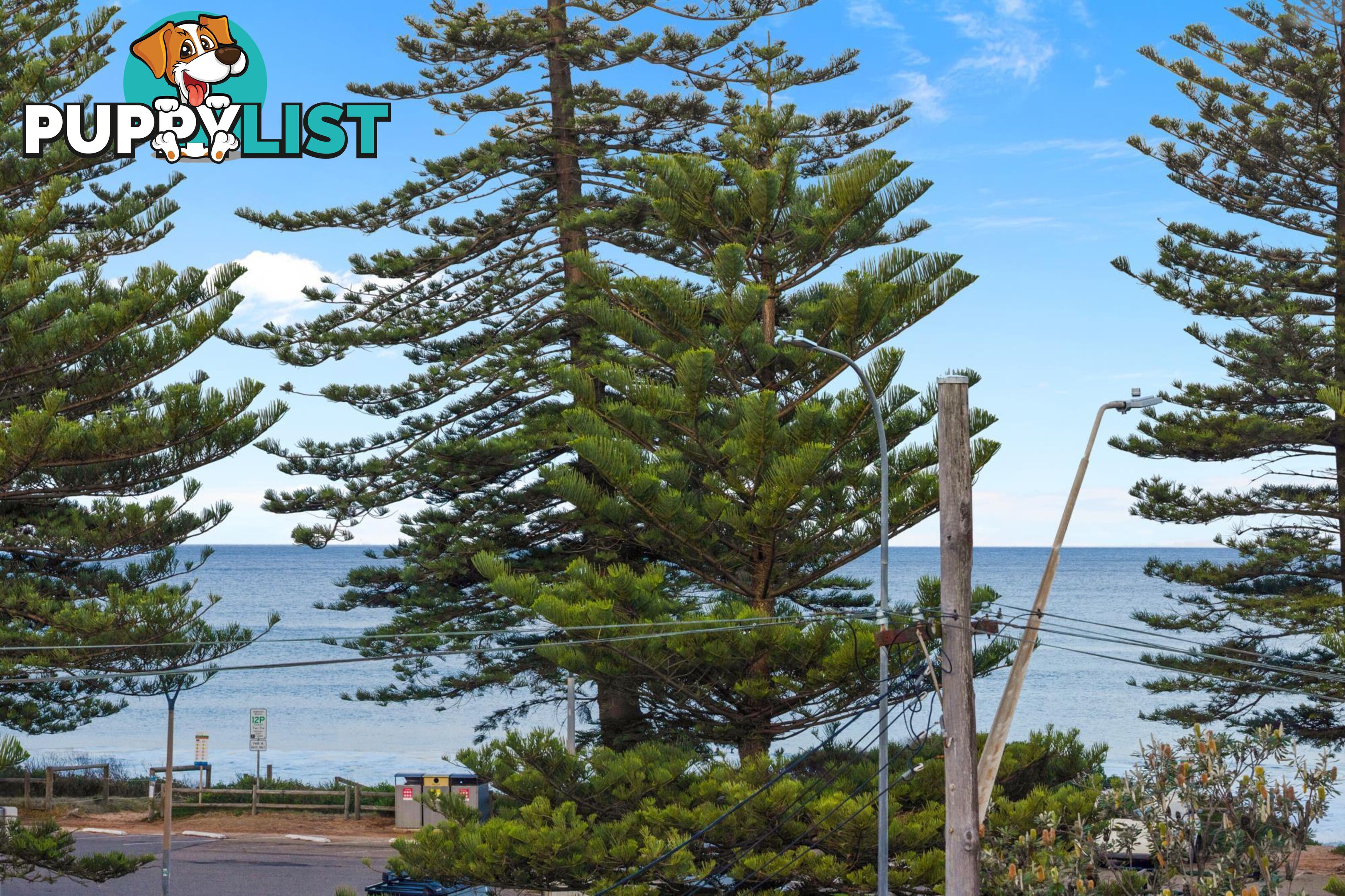 5/397-399 Barrenjoey Road NEWPORT NSW 2106