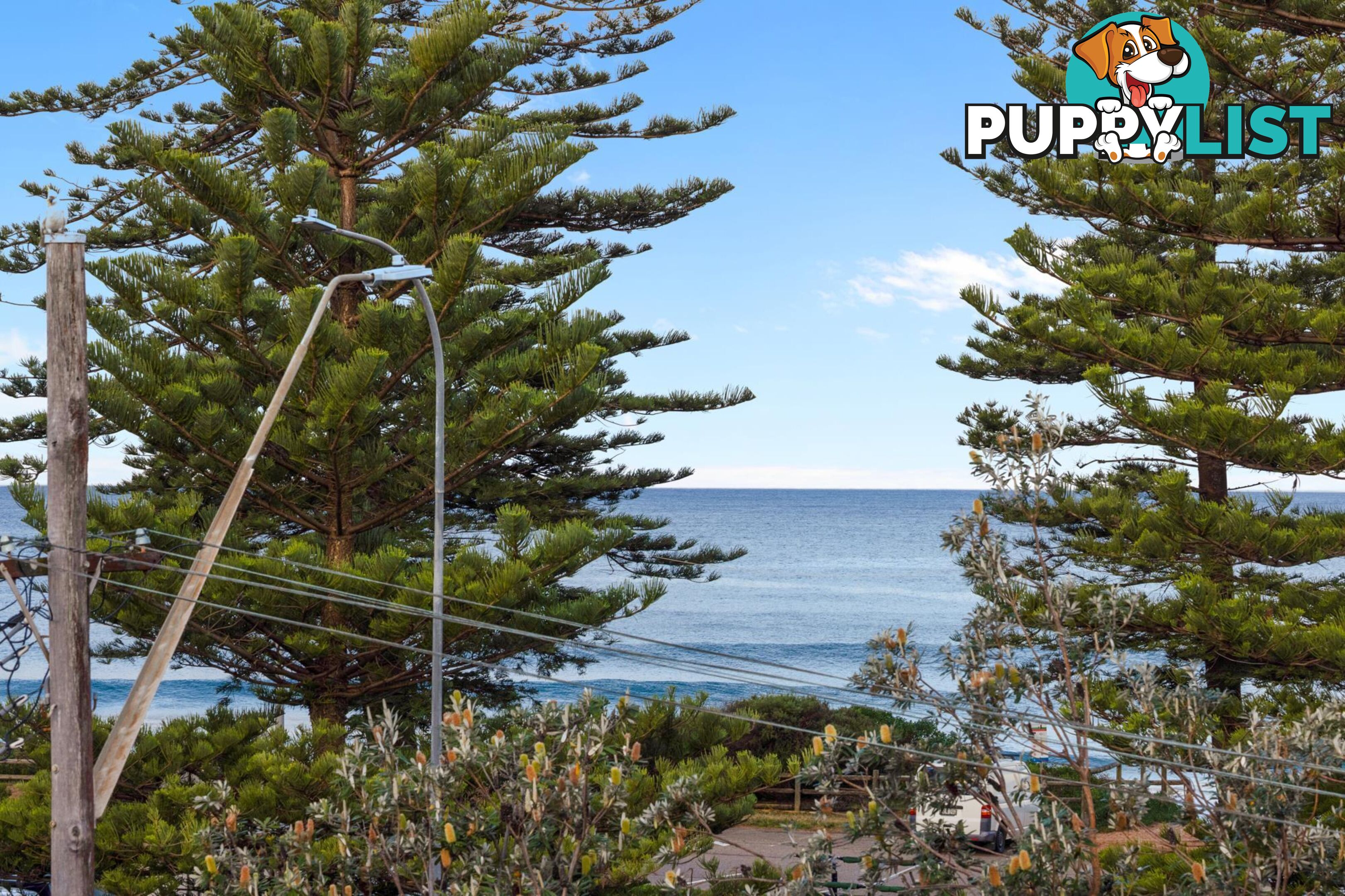 5/397-399 Barrenjoey Road NEWPORT NSW 2106