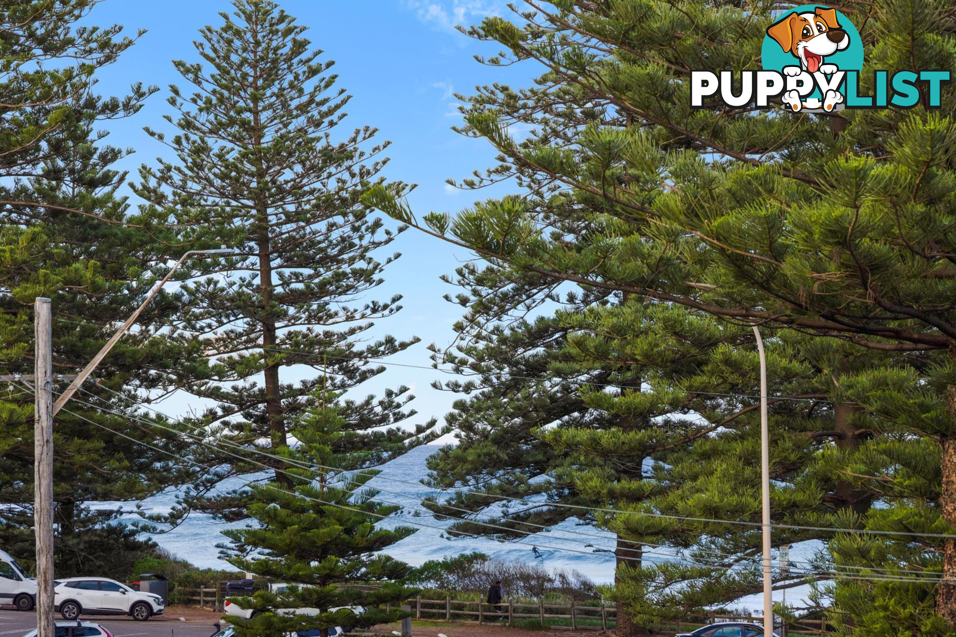 5/397-399 Barrenjoey Road NEWPORT NSW 2106