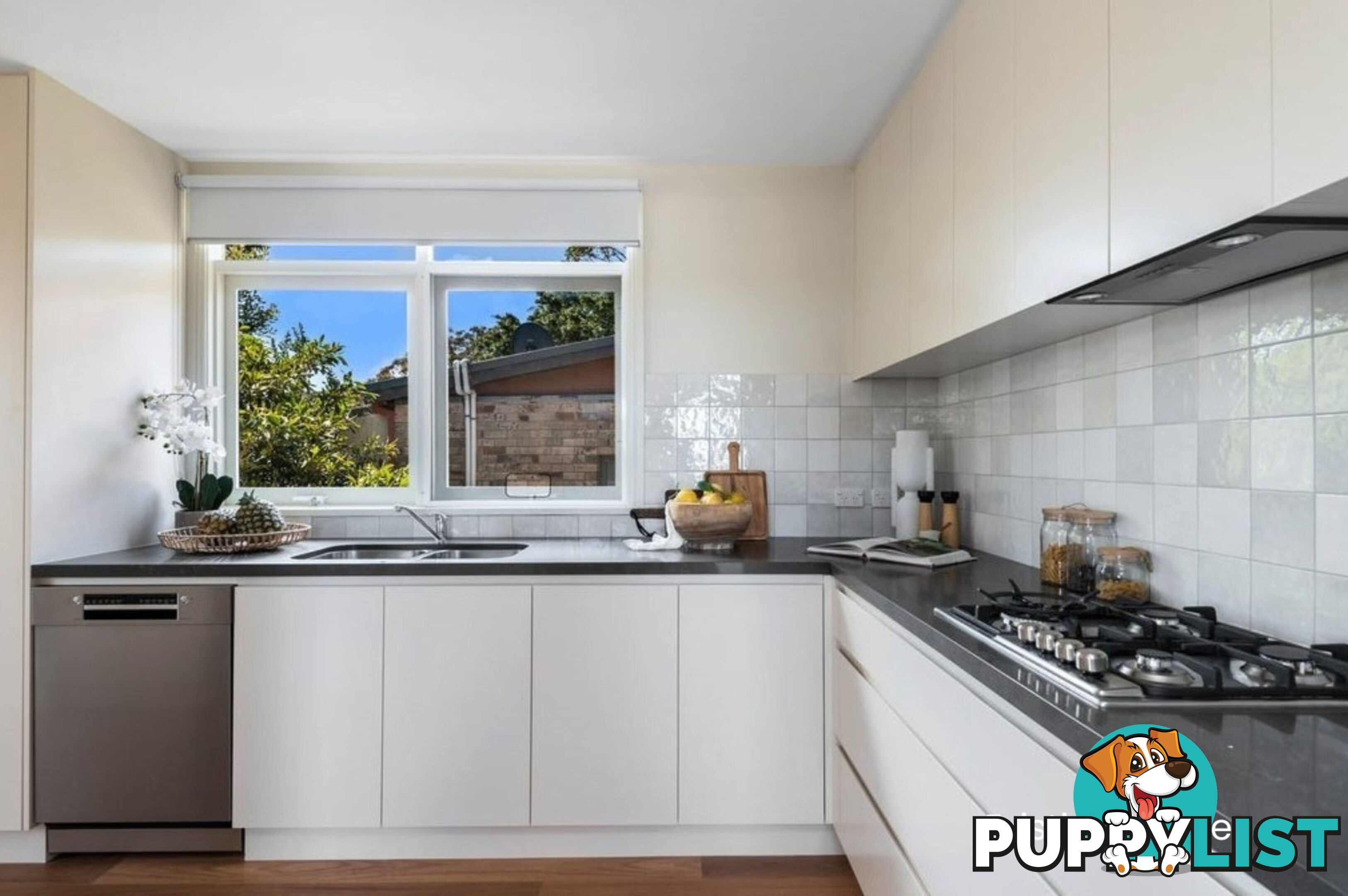 41 Coolangatta Avenue ELANORA HEIGHTS NSW 2101