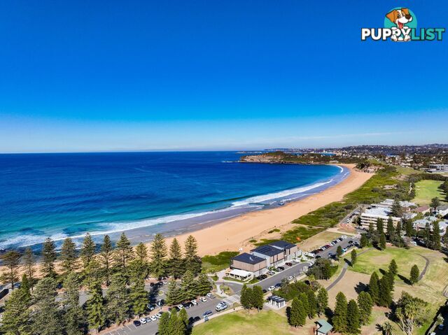 5/20-22 Golf Avenue MONA VALE NSW 2103