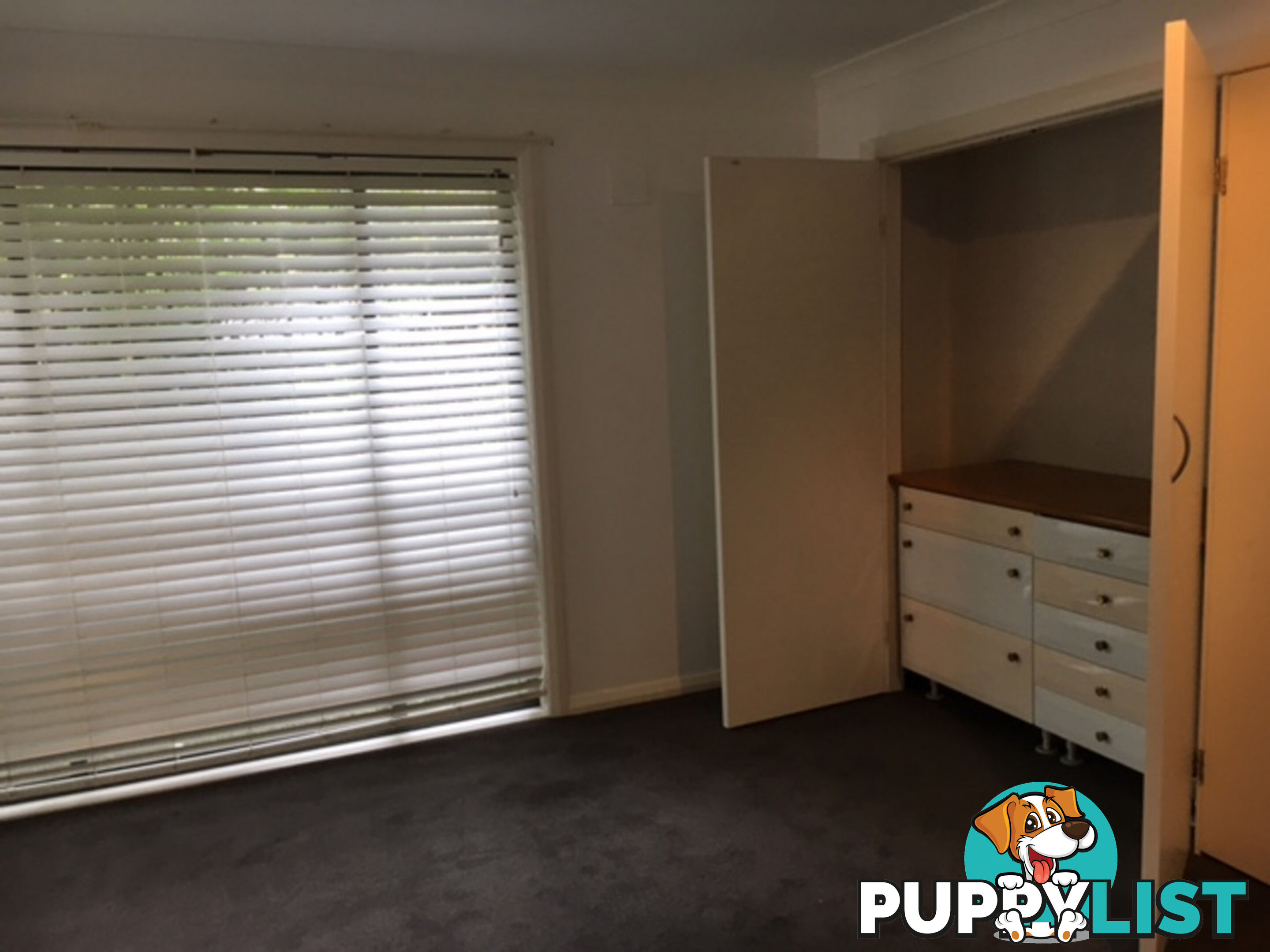 1 Suncrest Avenue NEWPORT NSW 2106