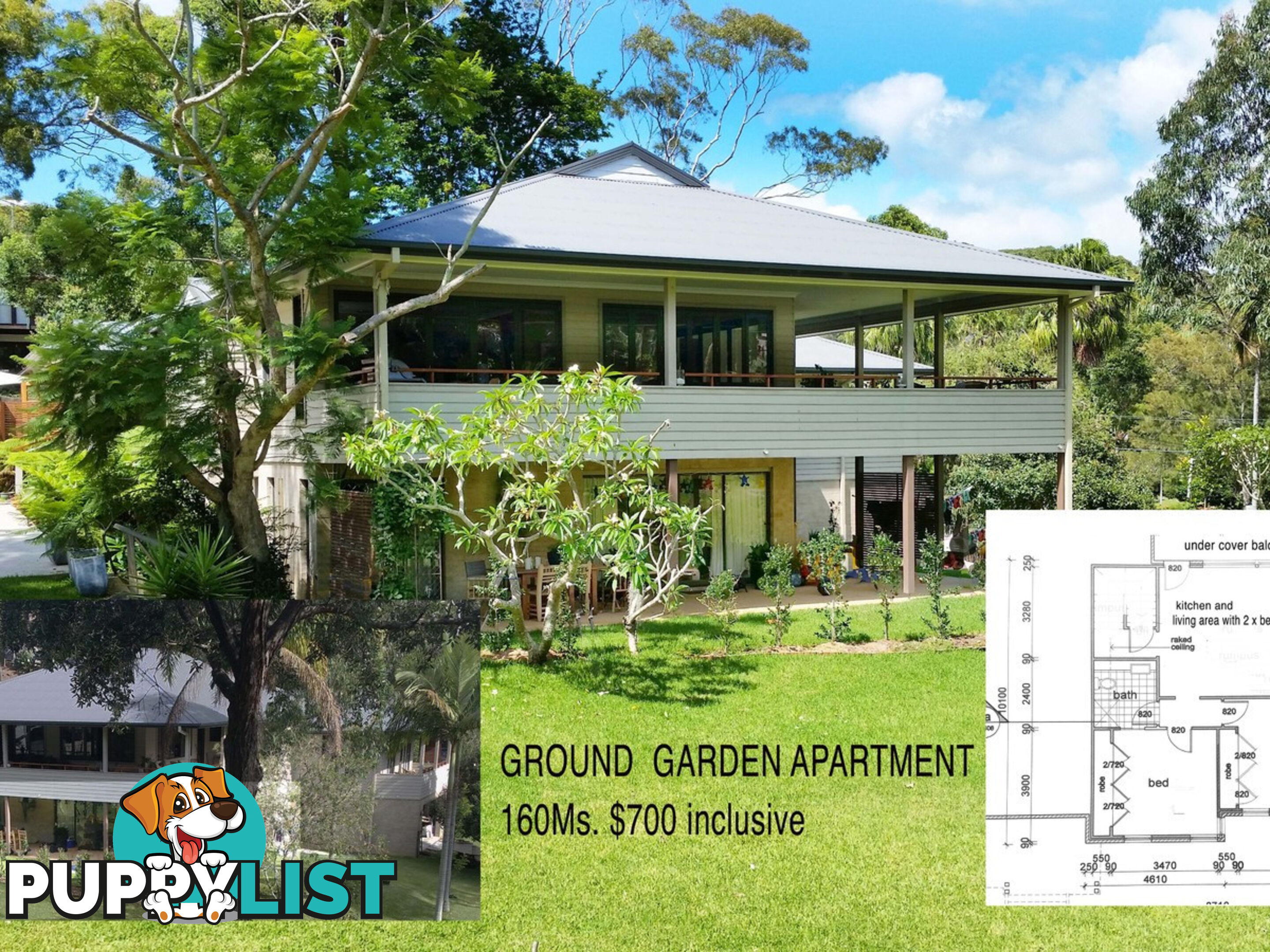 1 Suncrest Avenue NEWPORT NSW 2106