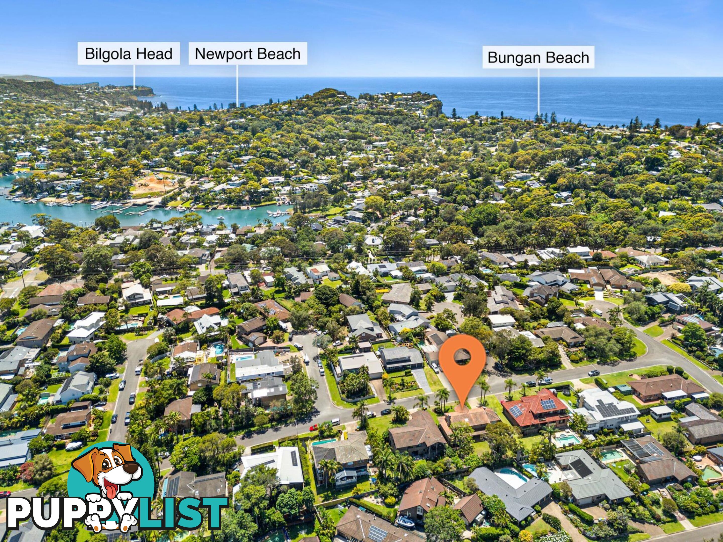 16 Bangalow Avenue MONA VALE NSW 2103