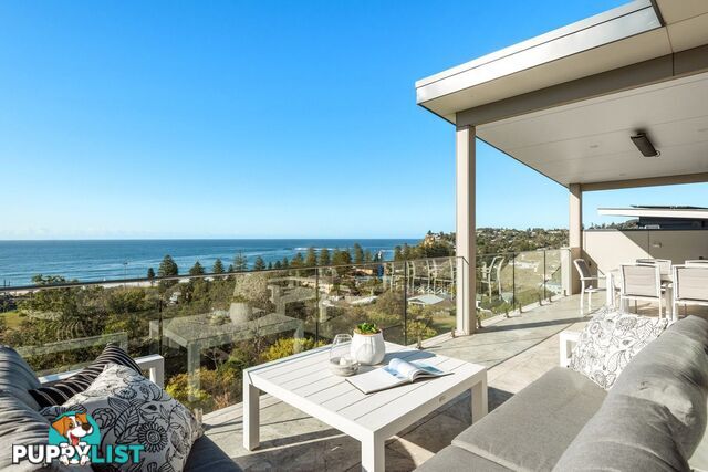 28 Hillside Road NEWPORT NSW 2106