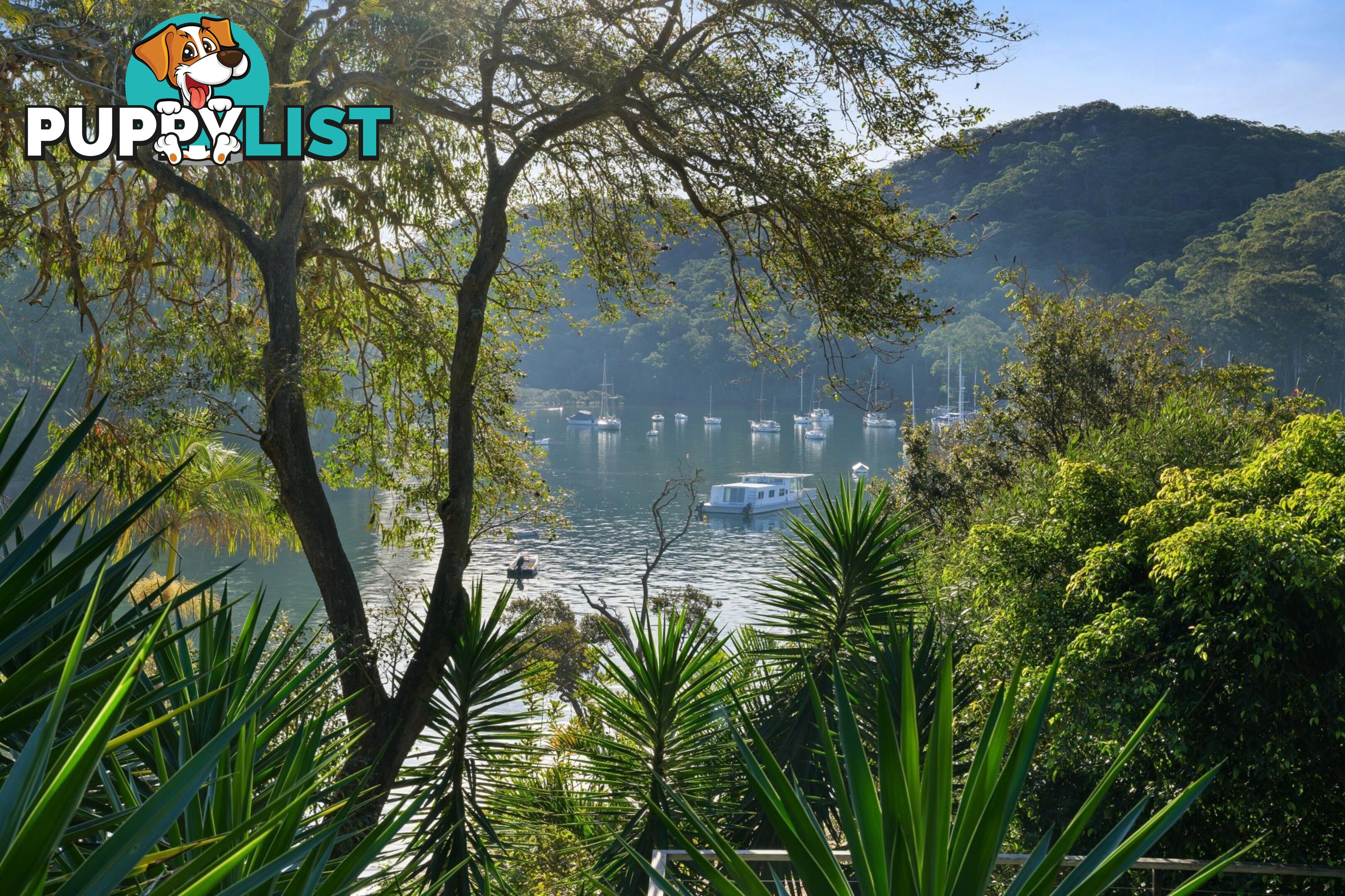 34 Sturdee Lane LOVETT BAY NSW 2105