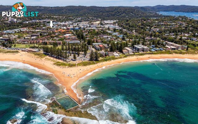 10/28 Darley Street MONA VALE NSW 2103