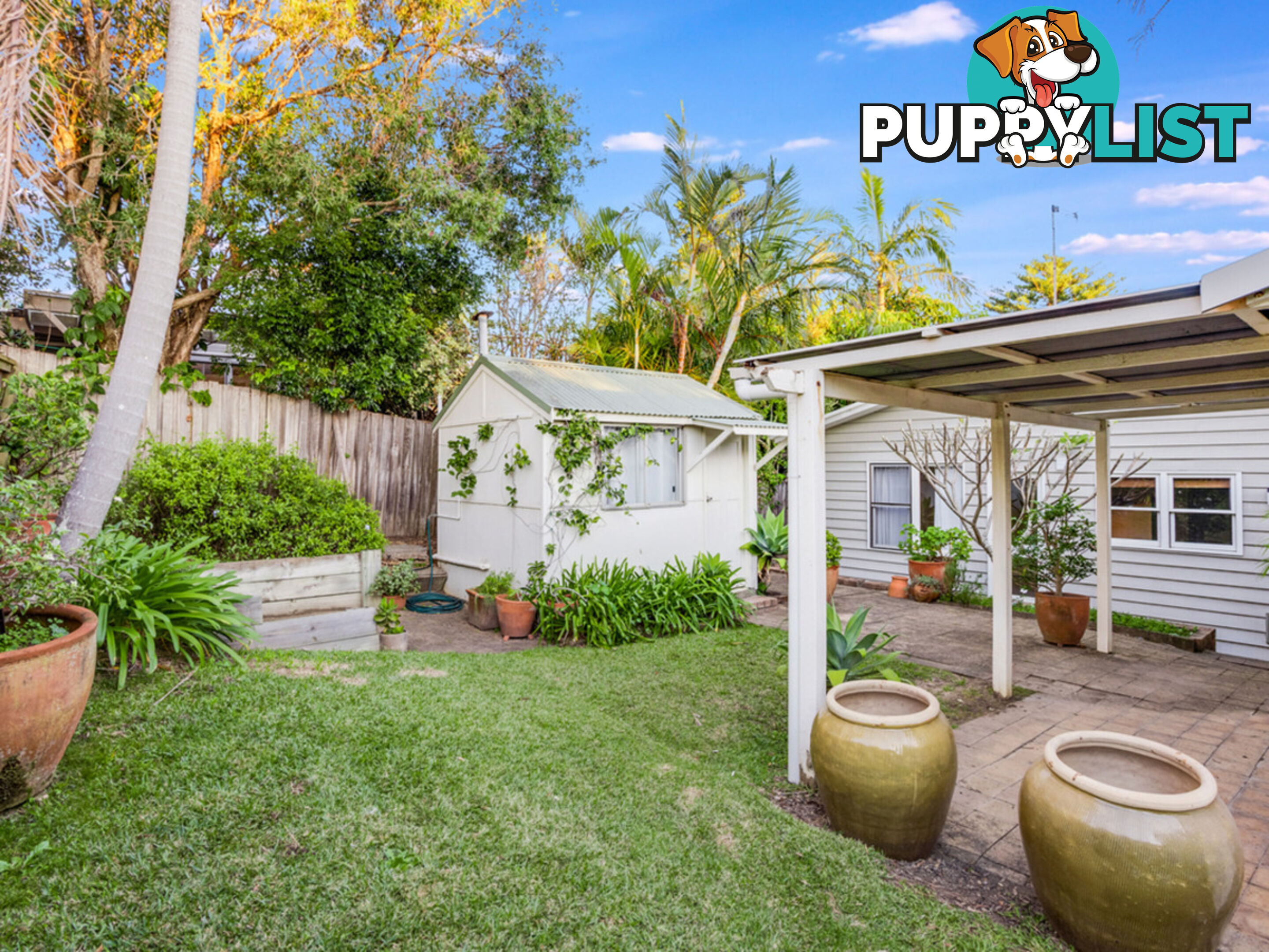 20 Bassett Street MONA VALE NSW 2103