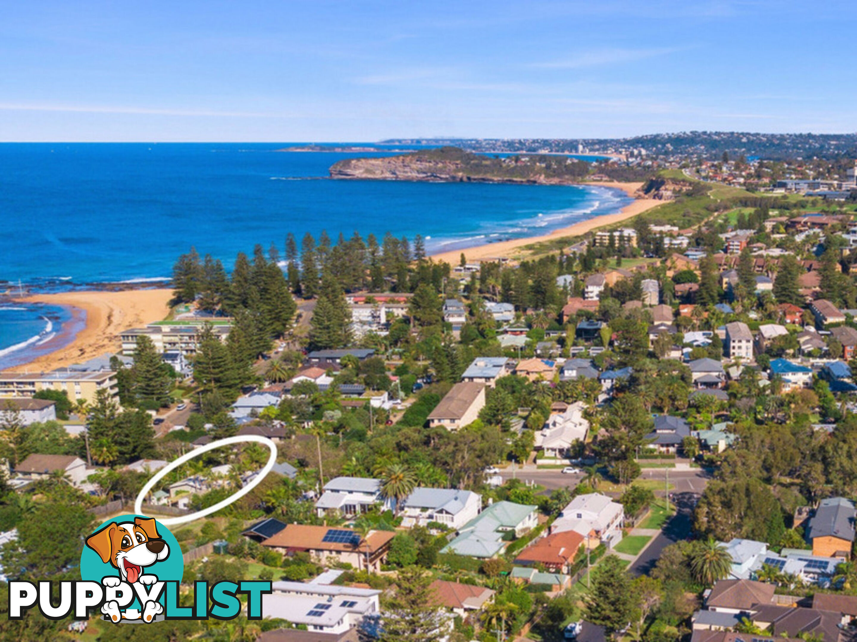 20 Bassett Street MONA VALE NSW 2103