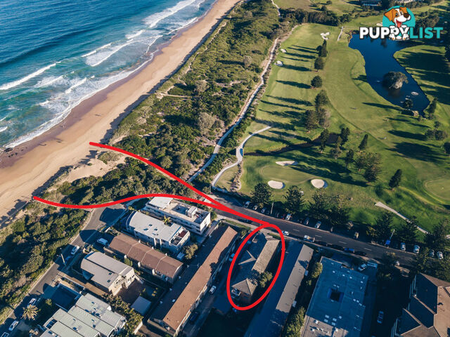 1/56 Golf Avenue MONA VALE NSW 2103