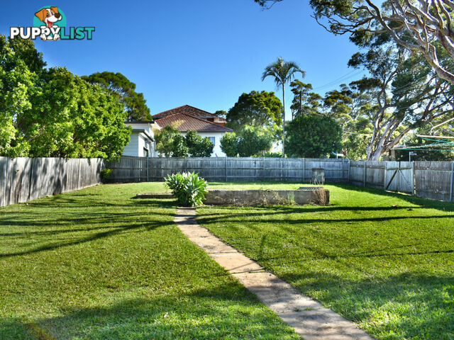 53 Waratah Street MONA VALE NSW 2103