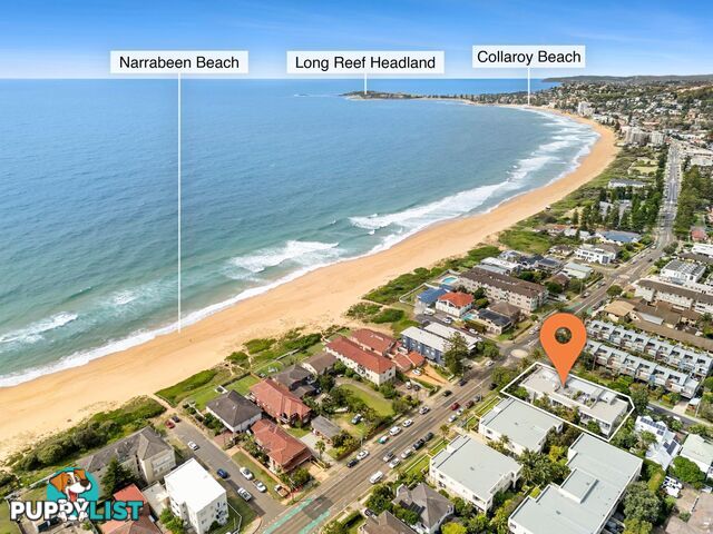 9/118-120 Ocean Street NARRABEEN NSW 2101