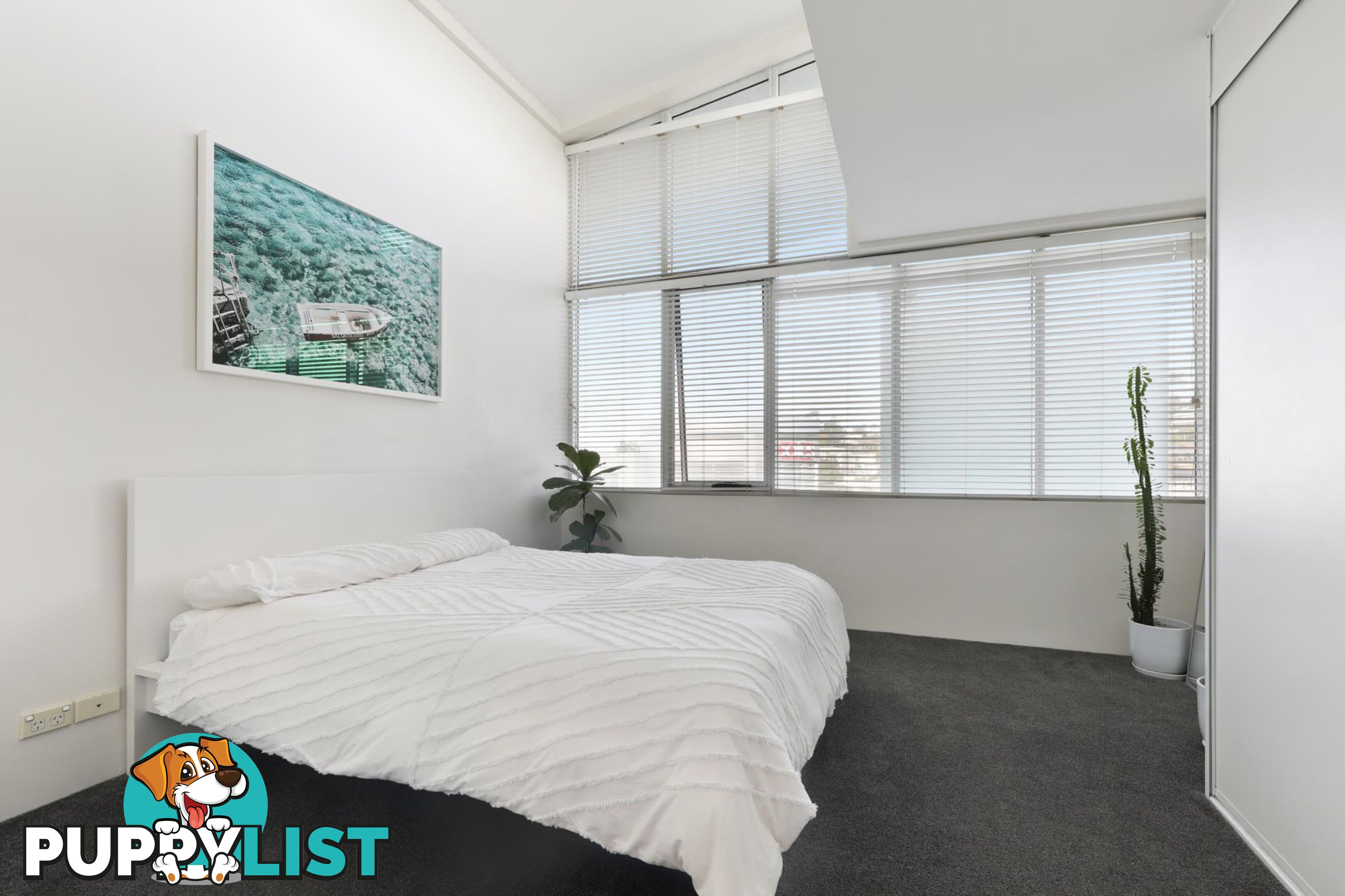 313/637 Pittwater Road DEE WHY NSW 2099