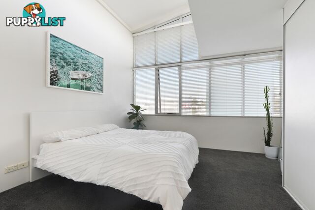 313/637 Pittwater Road DEE WHY NSW 2099