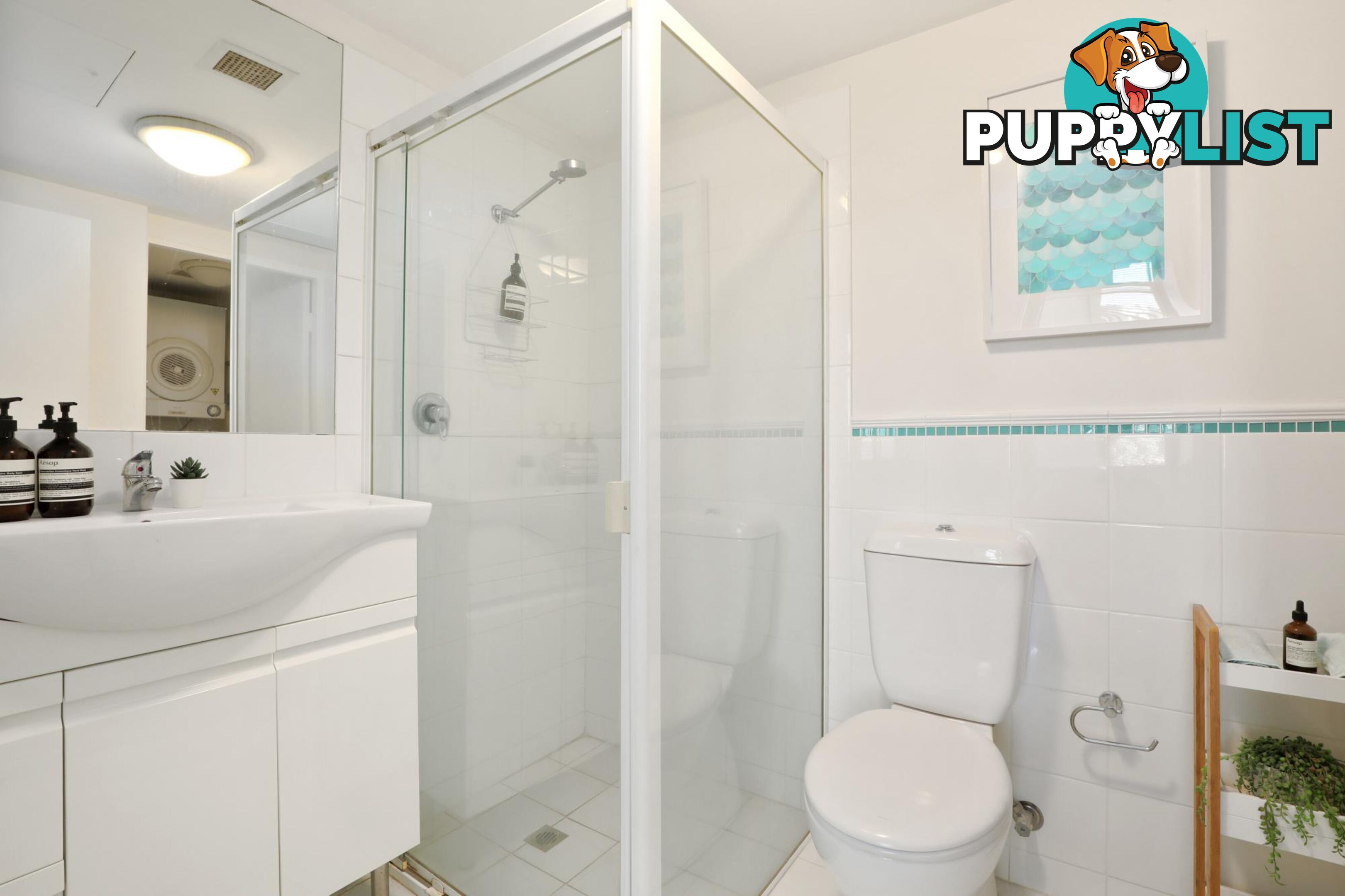 313/637 Pittwater Road DEE WHY NSW 2099