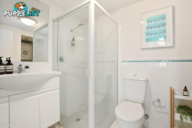 313/637 Pittwater Road DEE WHY NSW 2099