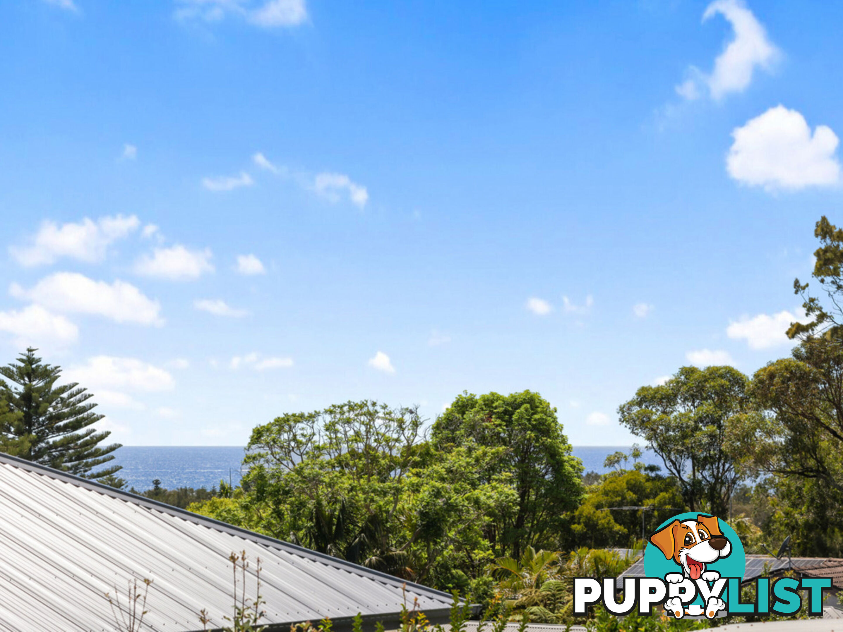 67 Elimatta Road MONA VALE NSW 2103