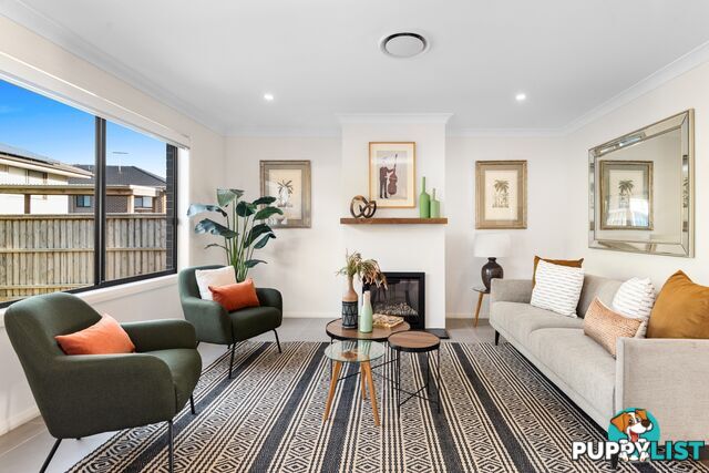 53 Warriewood Road WARRIEWOOD NSW 2102