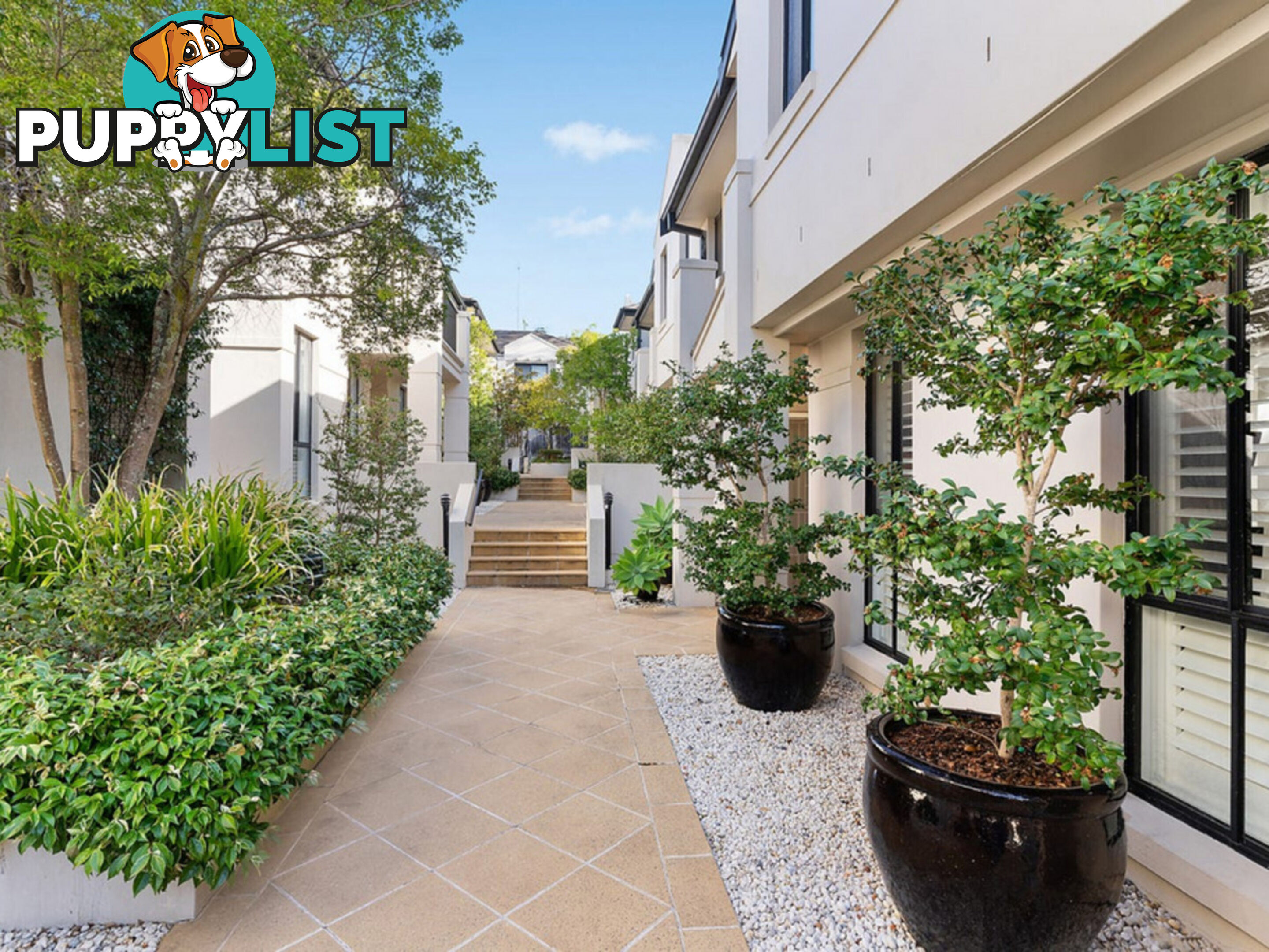 3/135-137 Darley Street MONA VALE NSW 2103