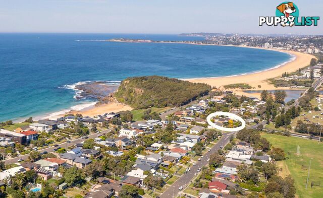 29 Narrabeen Park Parade NORTH NARRABEEN NSW 2101