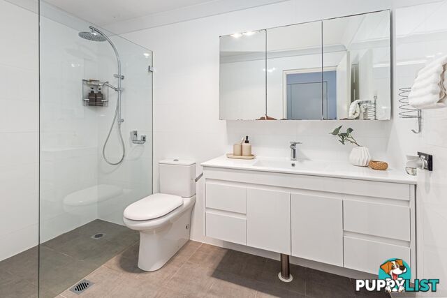 21/1-15 Tuckwell Place MACQUARIE PARK NSW 2113