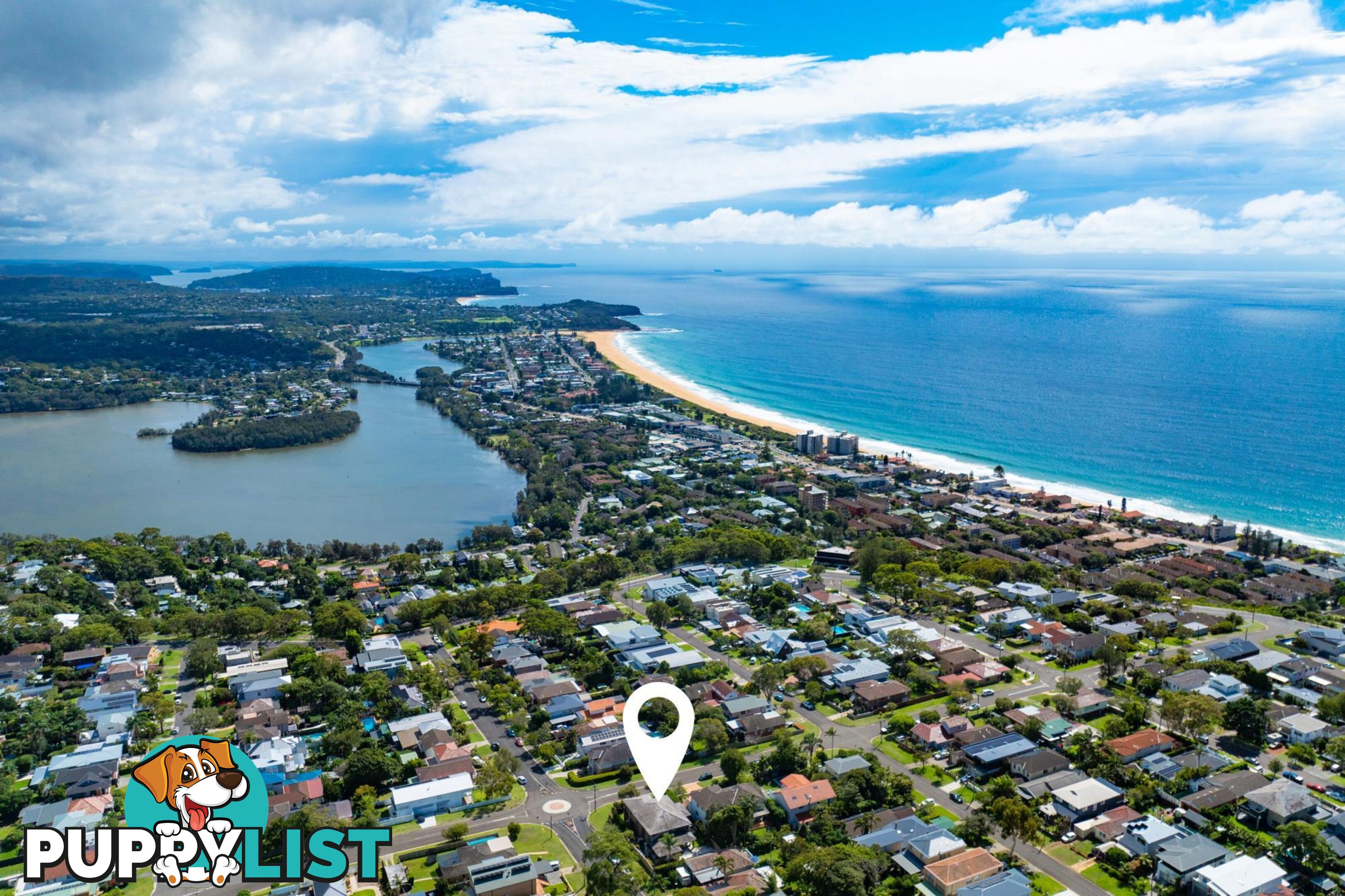 19 Acacia Street COLLAROY PLATEAU NSW 2097